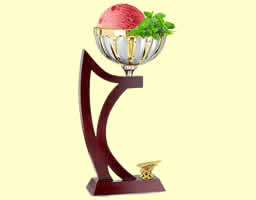 sorbet fraise des bois